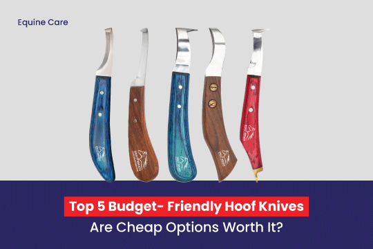 Top 5 Budget-Friendly Hoof Knives: Are Cheap Options Worth It?