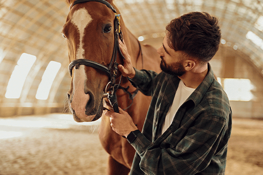Why Every Farrier Needs a Hoof Knife: Essential Uses & Benefits