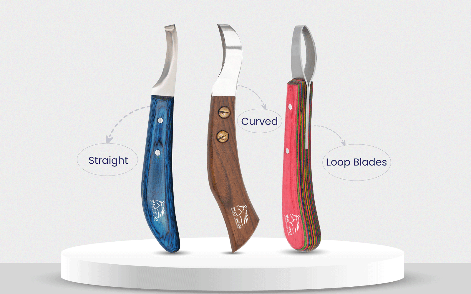 Different Types of Hoof Knife Explained: Straight, Curved, and Loop Blades