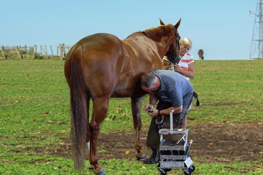 how to use a hoof knife