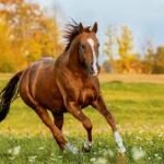 Farrier practicing hoof nipper technique on a dummy hoof