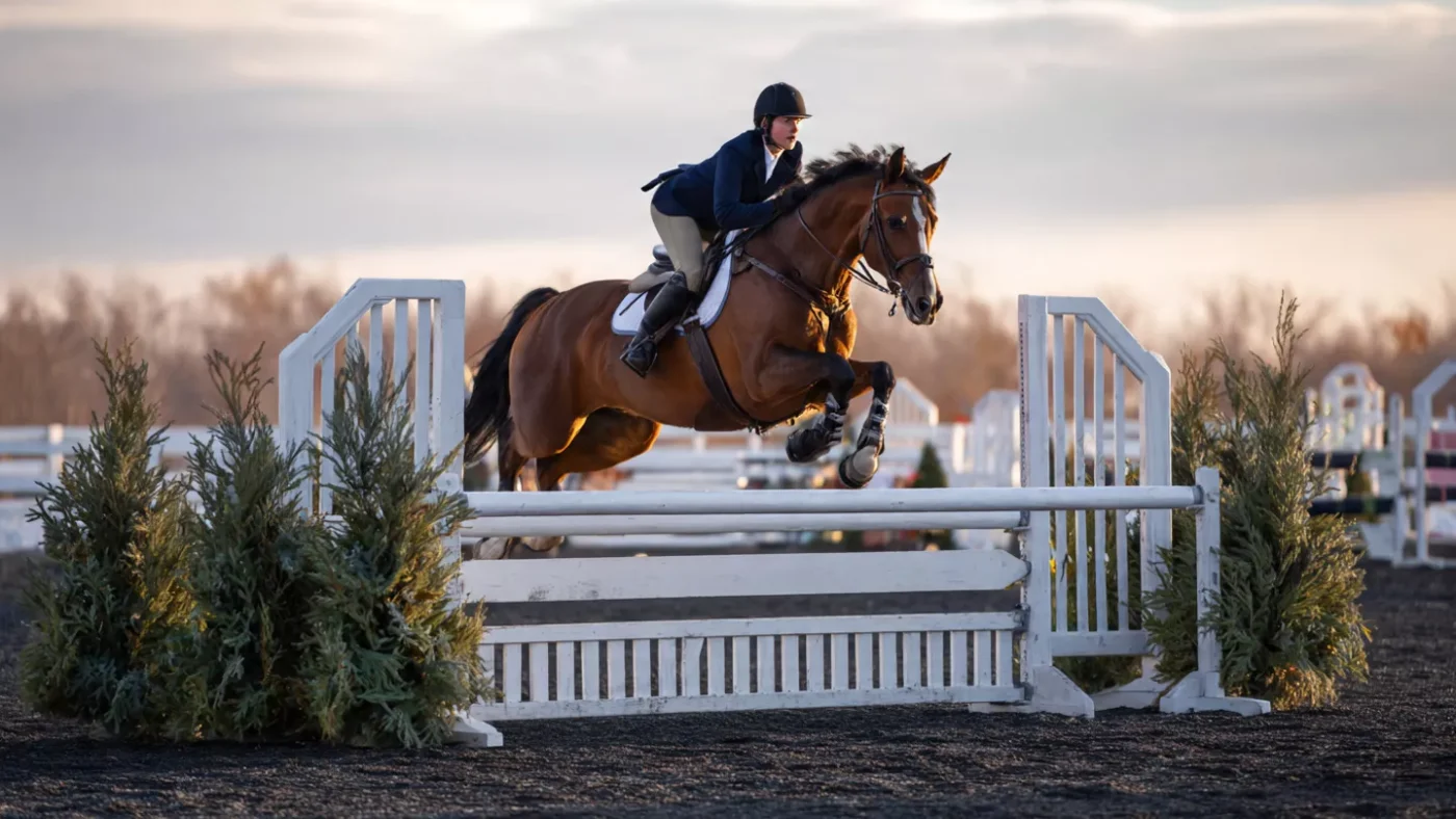 Swan Lake Holiday Blast National Show 2025 Littlestown, Pennsylvania