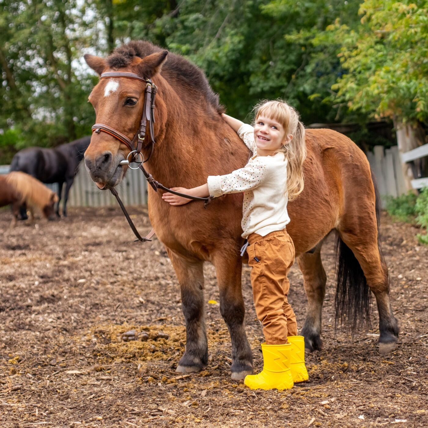 Farrier tools from forging stage to finished hoof care use