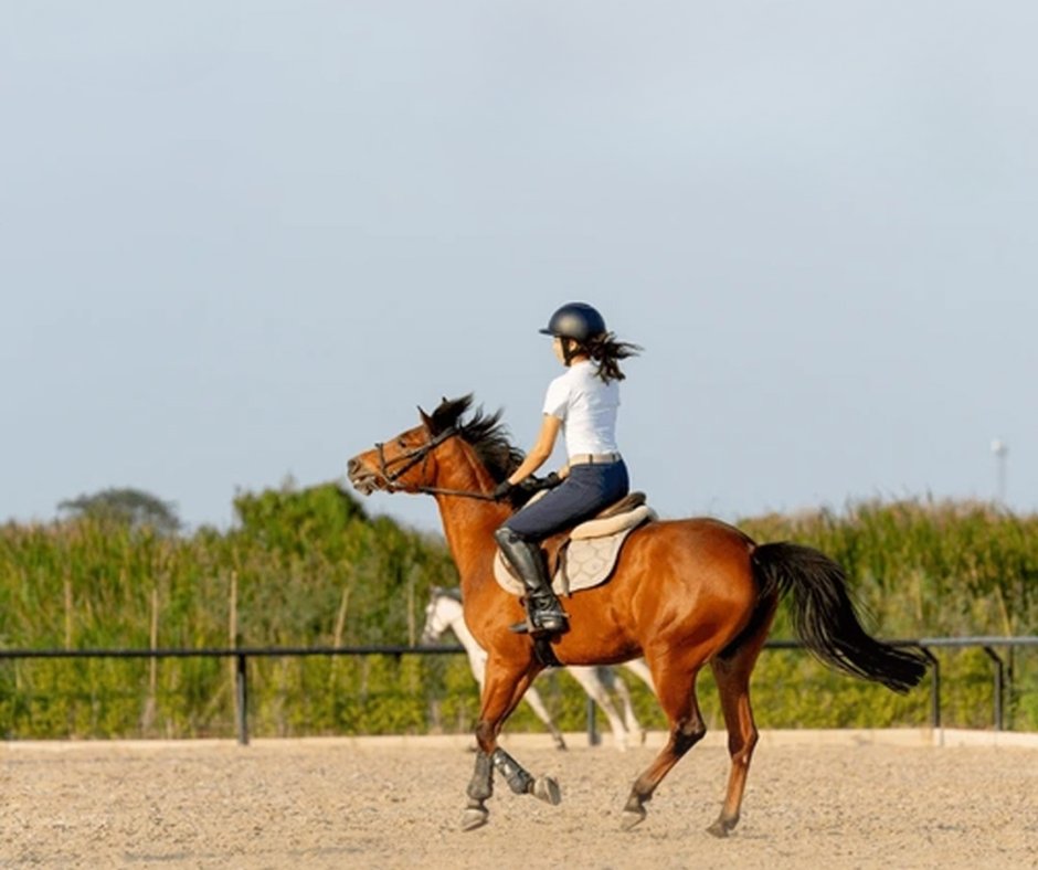 Farrier safely using a hoof knife with proper grip and posture