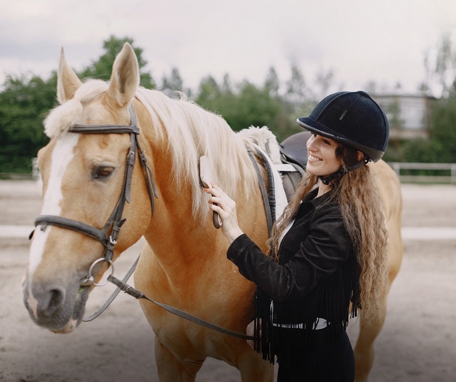 Repairable and recyclable circular farrier tools for professional use