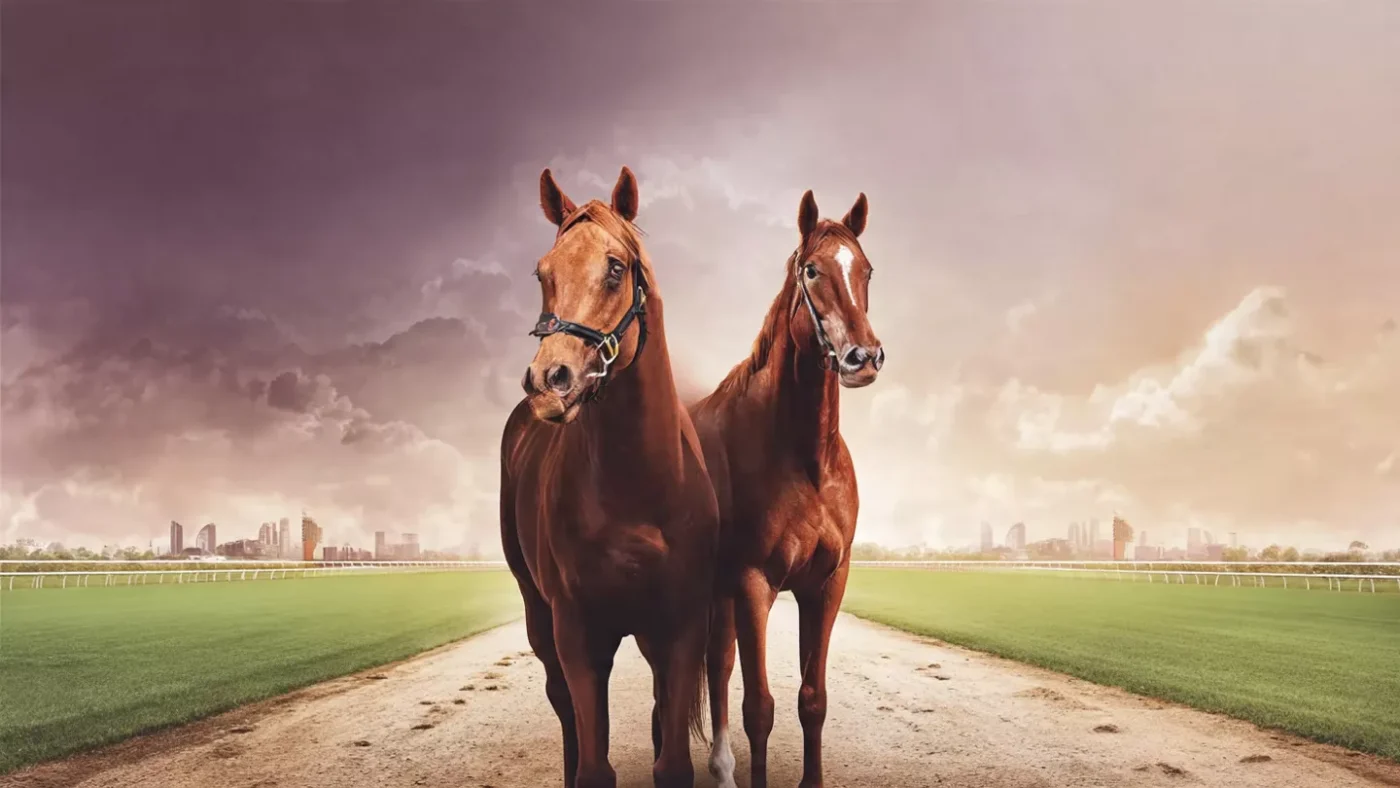 Farrier using a hoof knife to clean and trim infected frog tissue