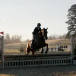 Saddle pad placed correctly under a saddle to support horse back health