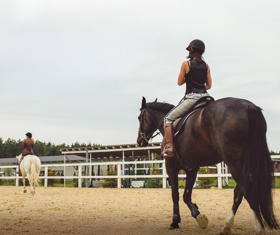 Farrier using a hoof knife to remove infected frog tissue during hoof disease treatment