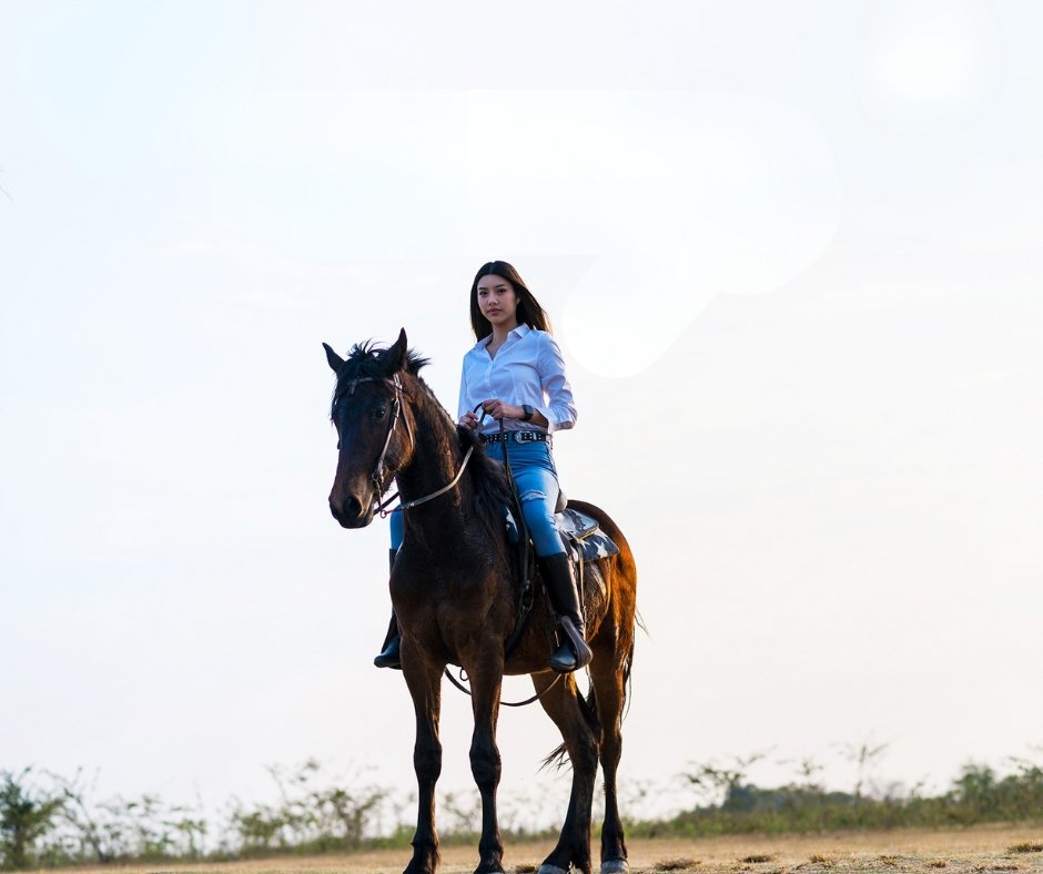 Kevlar farrier apron with reinforced panels for cut resistance