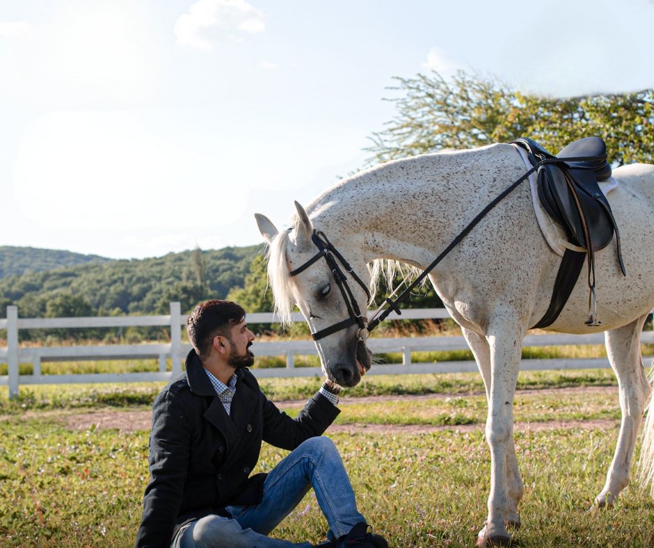 Farrier using a hoof knife to open and drain a hoof abscess safely