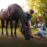 Horse eating forage calmly in a low-stress stable environment