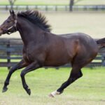 International Women’s Day event celebrating women empowerment and achievements