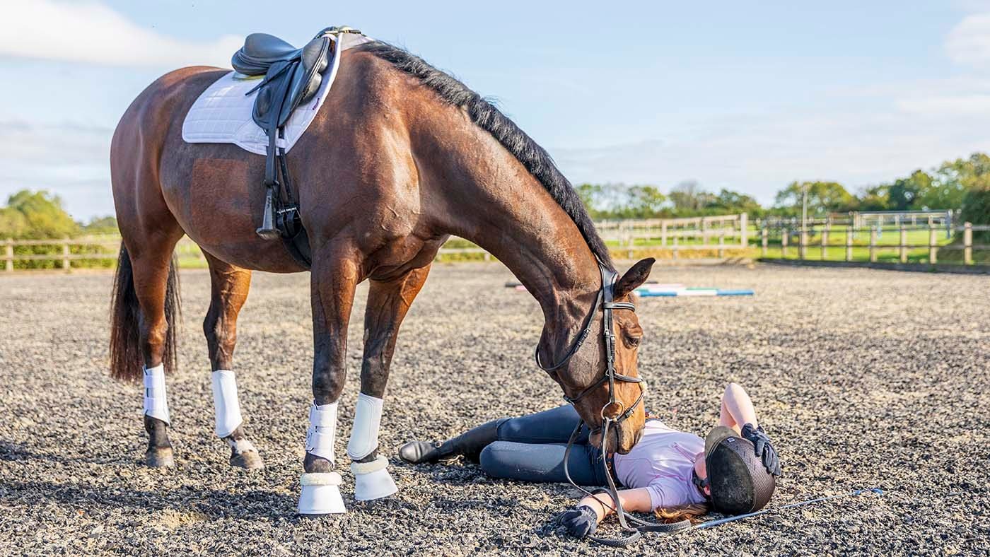showjumping rider fall concussion safety rule