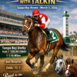 Talkin horse training for the Tampa Bay Derby as part of the Kentucky Derby prep races