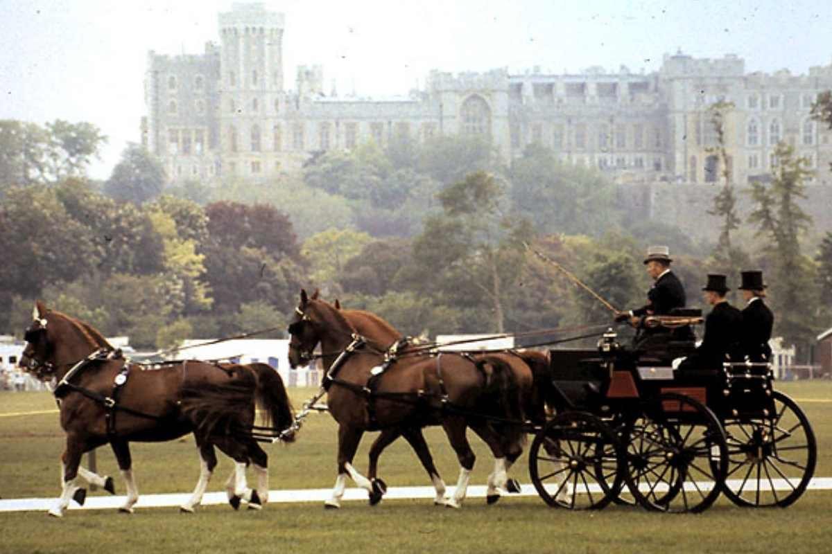 Royal Windsor Horse Show equestrian competition