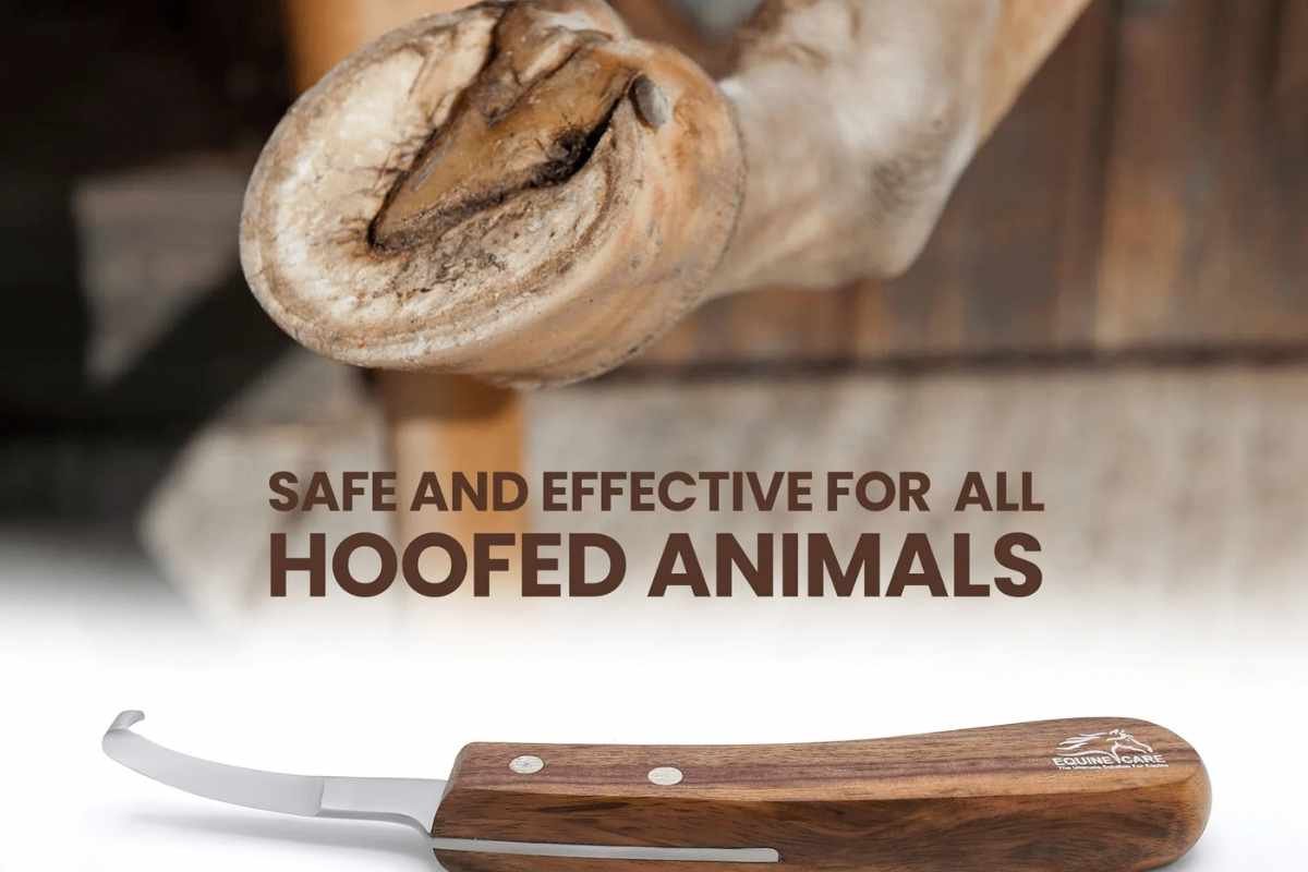 Small-handed farrier comfortably using an ergonomic hoof knife