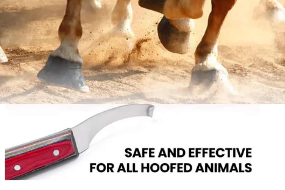 hoof knife blade angle design for precise trimming