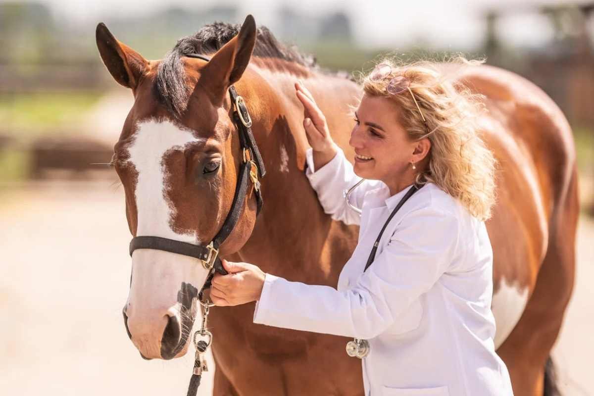 L-glutamine and zinc nutrients for equine gut health