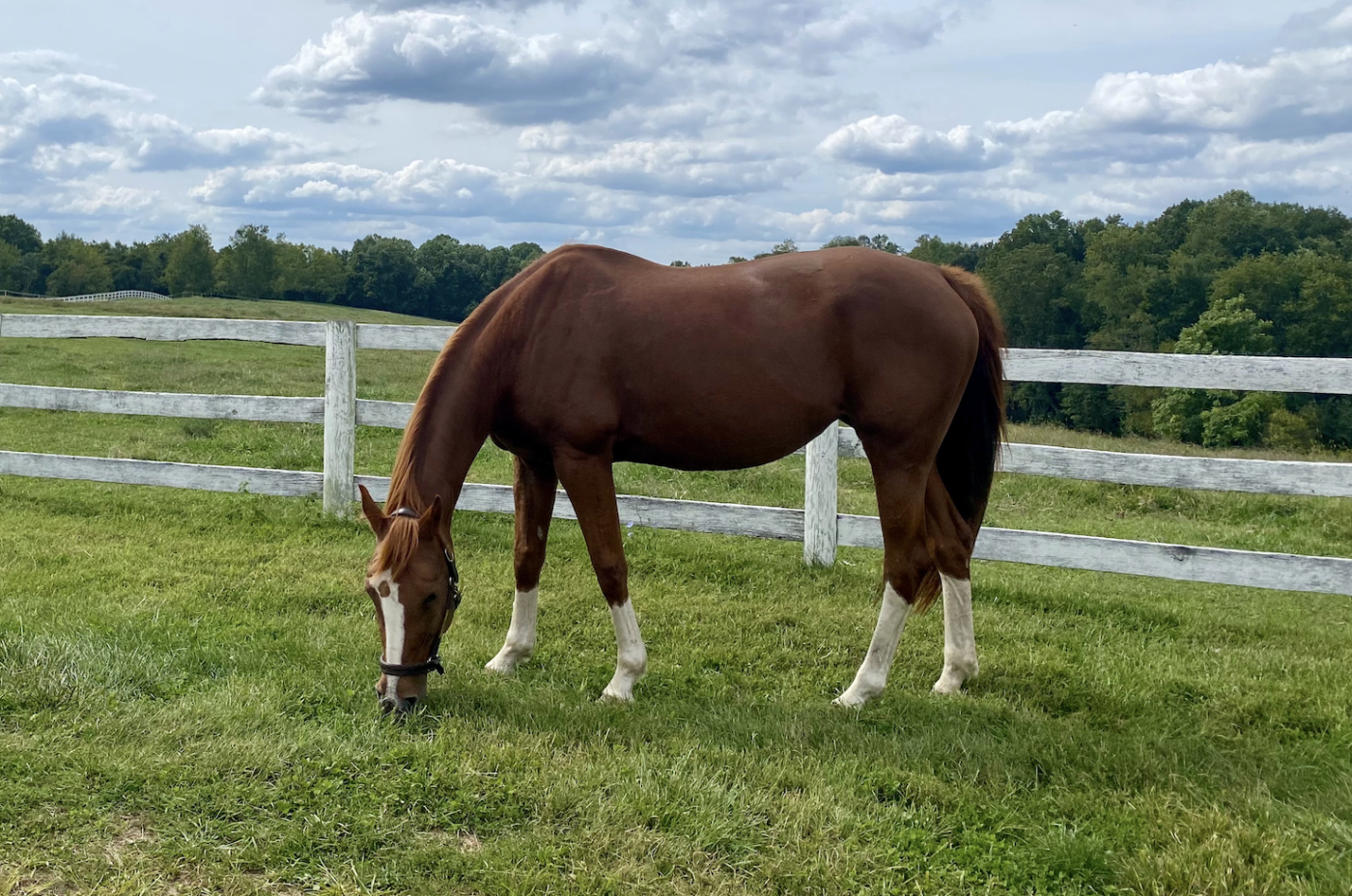 First Day of Spring flowers blooming during Spring Equinox