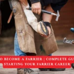 How to Become a Farrier Complete Guide to Starting Your Farrier Career in 2026