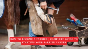 How to Become a Farrier | Get the full roadmap