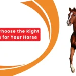 How to Choose the Right Calories for Your Horse