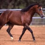 How handle material affects grip comfort and precision in tools