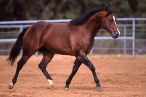 How Handle Material Affects Grip, Comfort & Precision