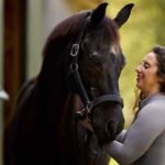 Healthy senior horse enjoying proper care and nutrition