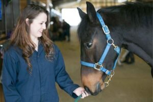 Advanced Equine Care & Management Expo