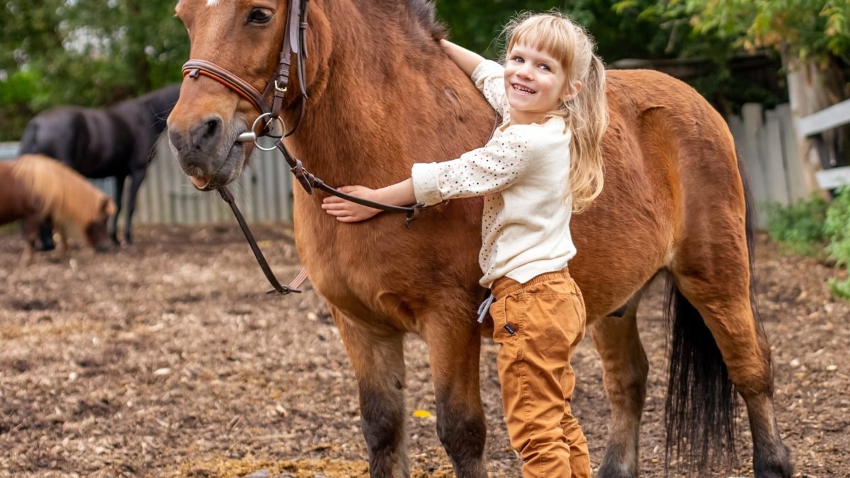 Farrier tools from forging stage to finished hoof care use