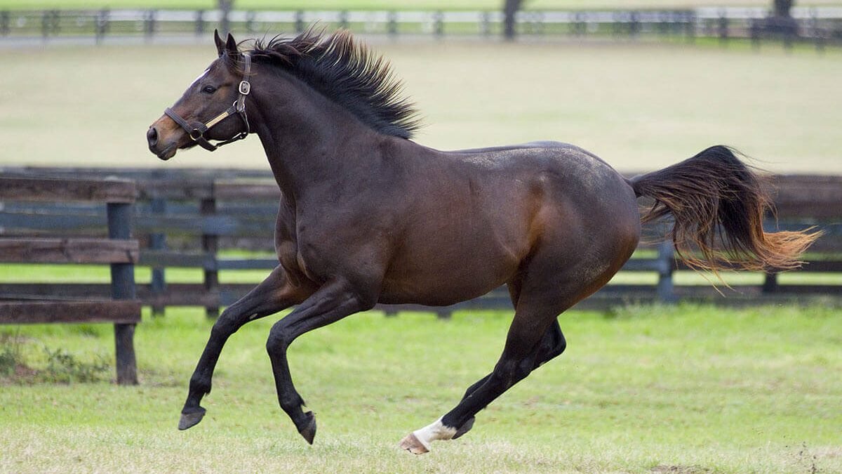International Women’s Day event celebrating women empowerment and achievements