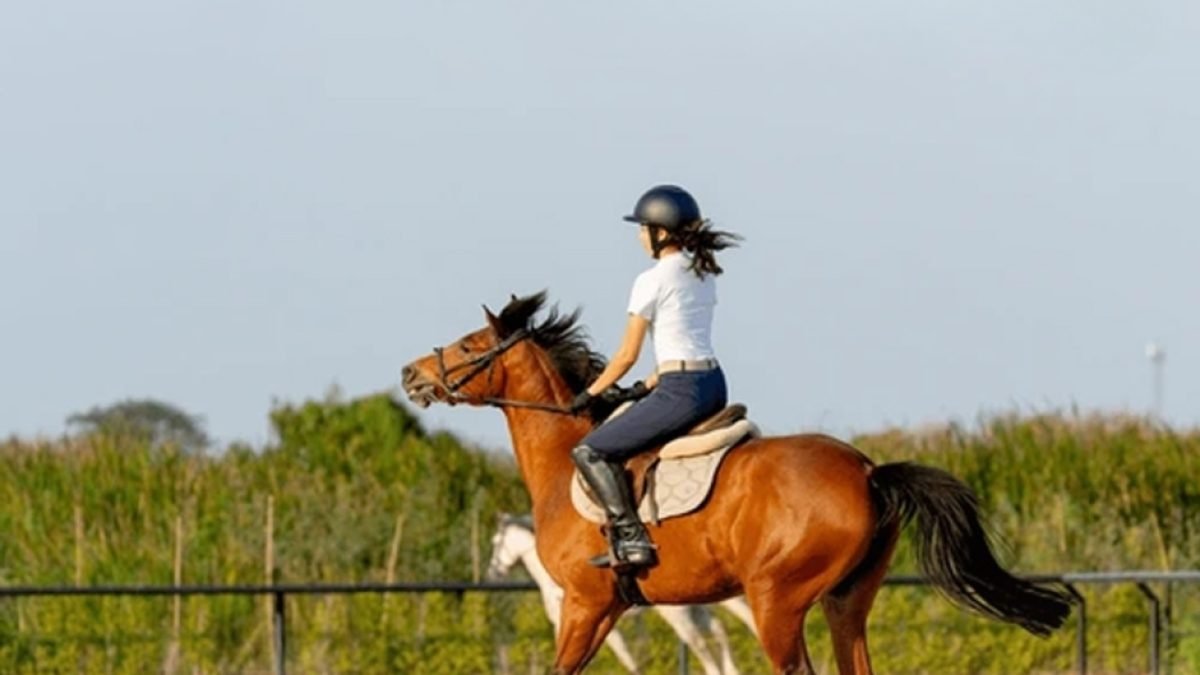 Farrier safely using a hoof knife with proper grip and posture