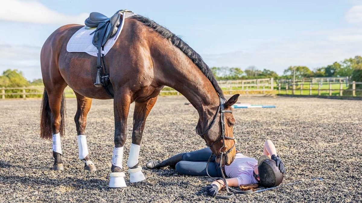 showjumping rider fall concussion safety rule