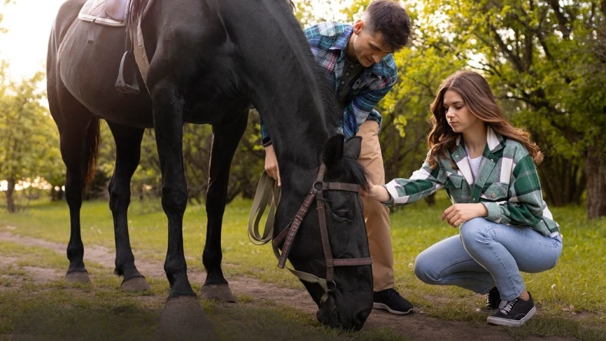 3D-printed hoof knife handle prototype designed for ergonomic farrier use