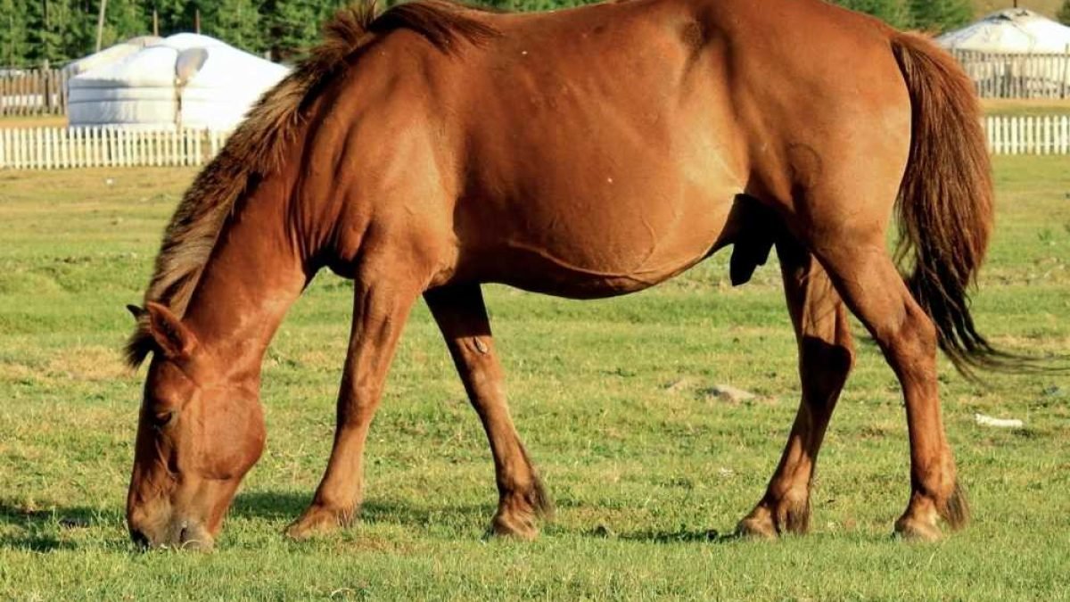 Riders exploring ancient woodland on off-road equestrian trail