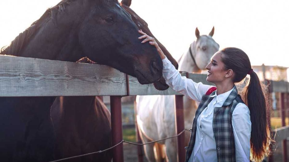 Diagram of horse gut showing microbiome and metabolites interaction