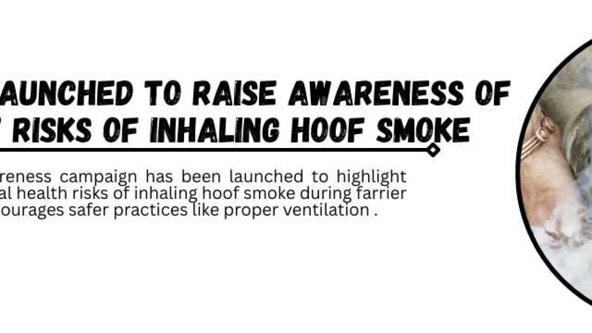 Purdue Boilermakers WWE Legacy Title Belt (2)