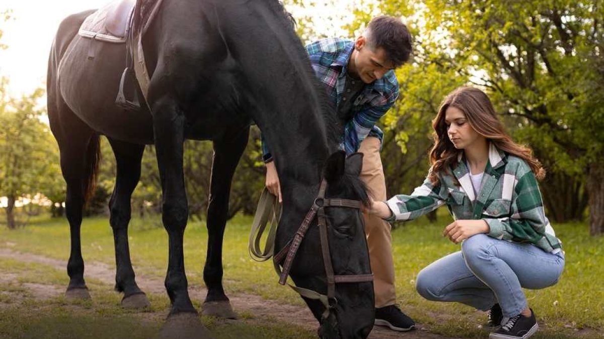 Horse eating forage calmly in a low-stress stable environment