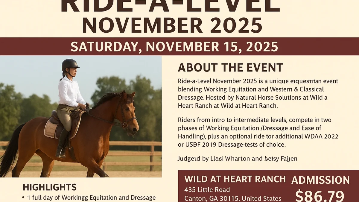 Ride-a-Level November 2025