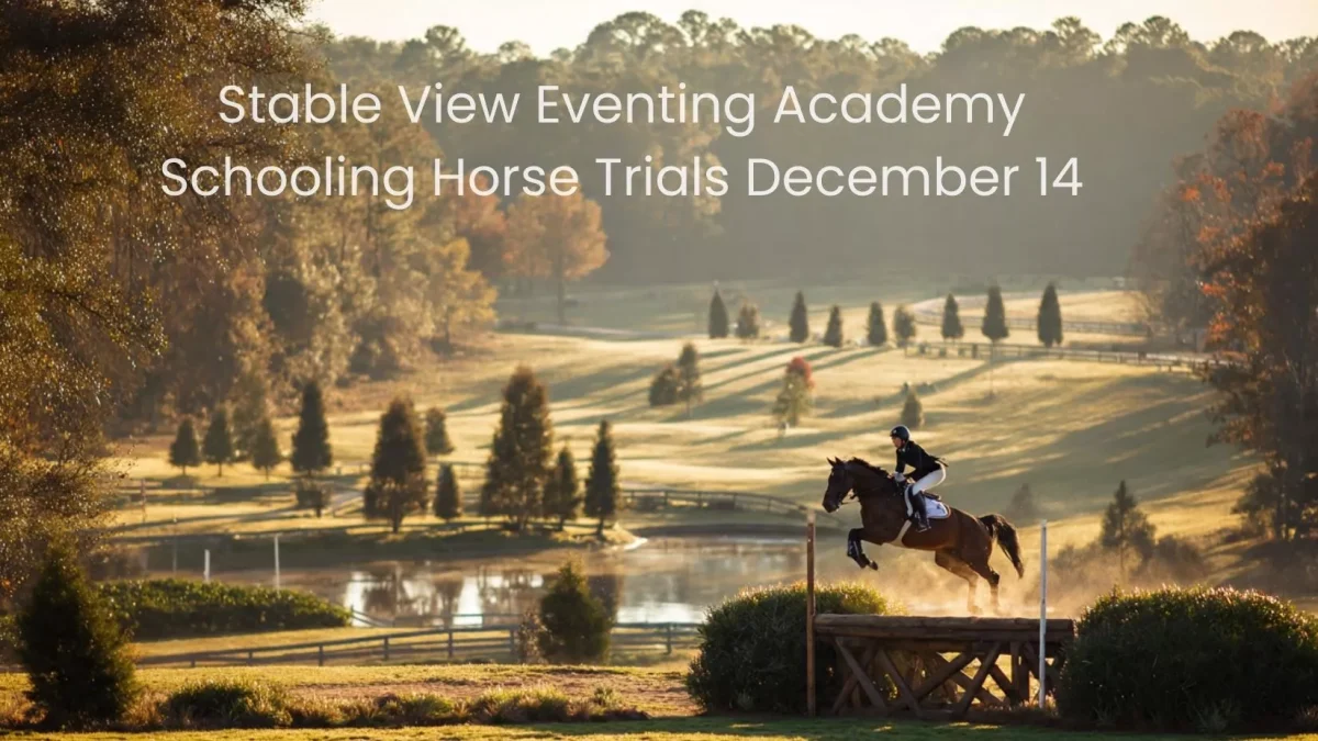 Stable View Eventing Academy Schooling Horse Trials December 14