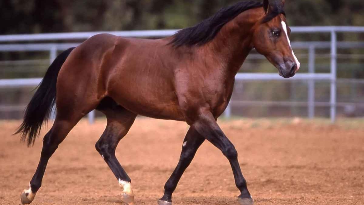 How handle material affects grip comfort and precision in tools