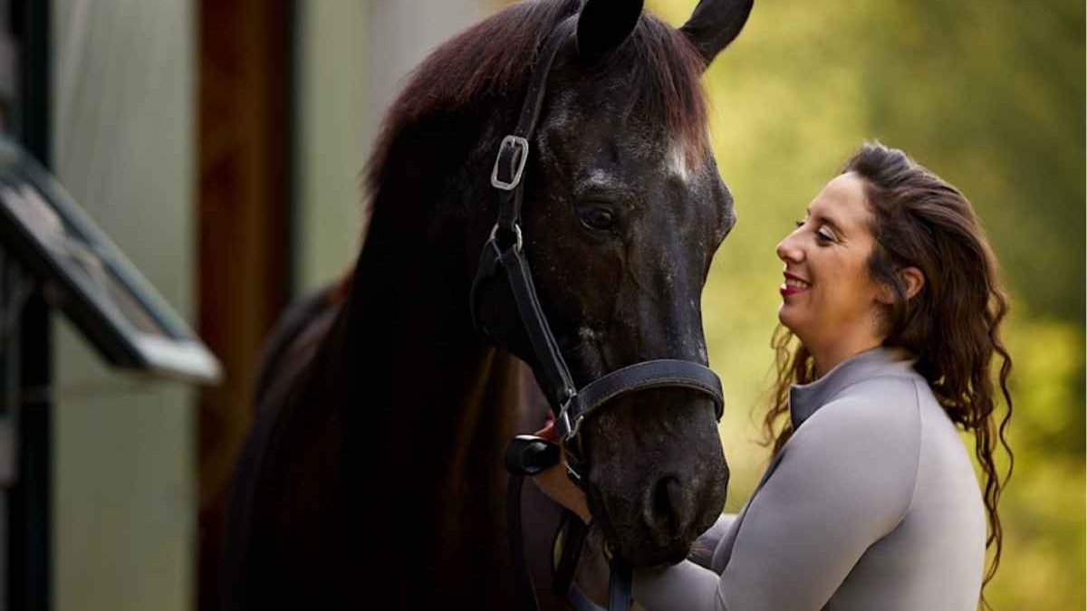 Healthy senior horse enjoying proper care and nutrition
