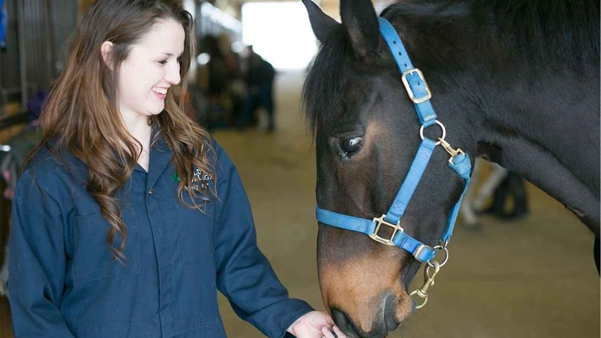 Advanced Equine Care & Management Expo event showcasing horse care innovations