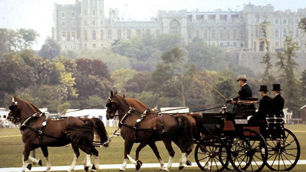 Royal Windsor Horse Show equestrian competition