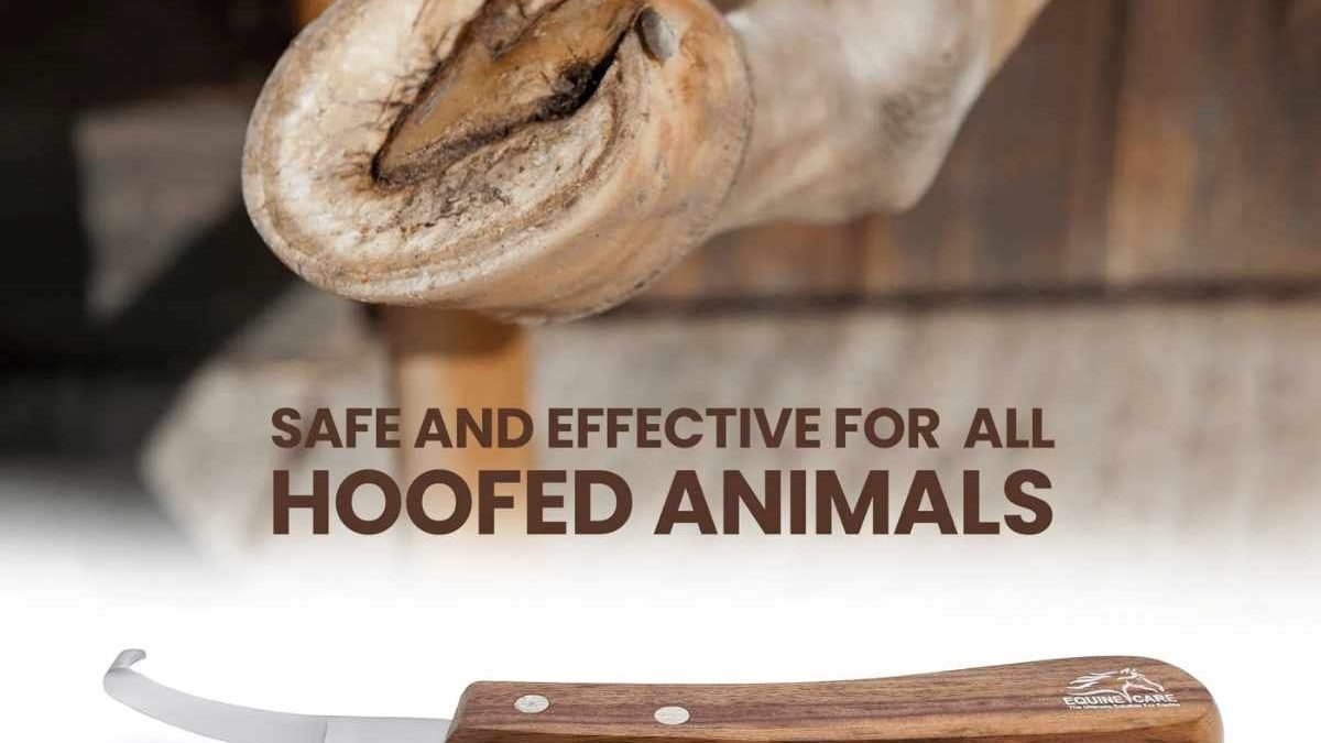 Small-handed farrier comfortably using an ergonomic hoof knife