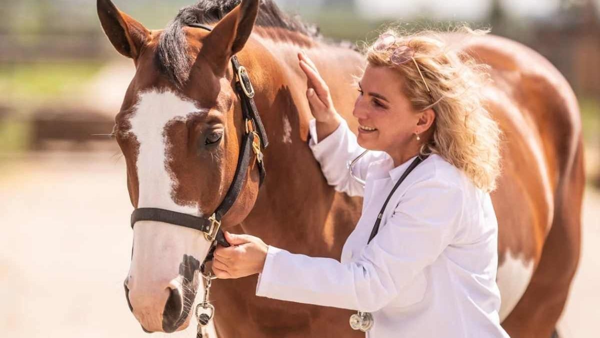L-glutamine and zinc nutrients for equine gut health