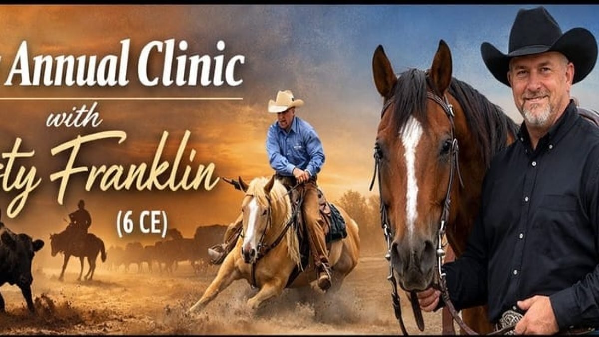 WhatsApp Image 2026-02-20 at 12.20.44 AM