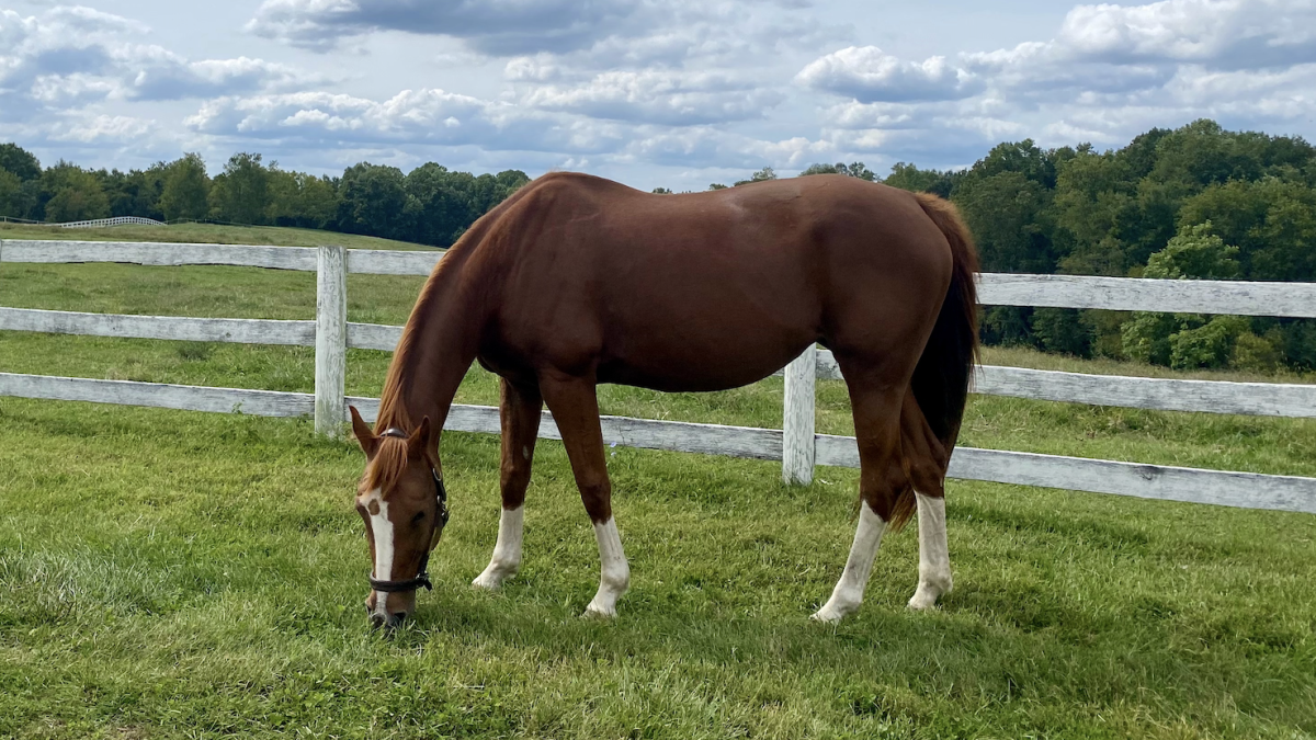 First Day of Spring flowers blooming during Spring Equinox